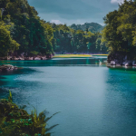 Il cuore nascosto della Papua: la straordinaria geodiversit� e le specie uniche dei territori carsici di Maybrat